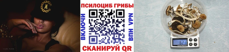 Галлюциногенные грибы MAGIC MUSHROOMS  маркетплейс какой сайт  Троицк  продажа наркотиков 