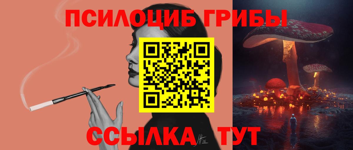 Псилоцибиновые грибы GOLDEN TEACHER Троицк